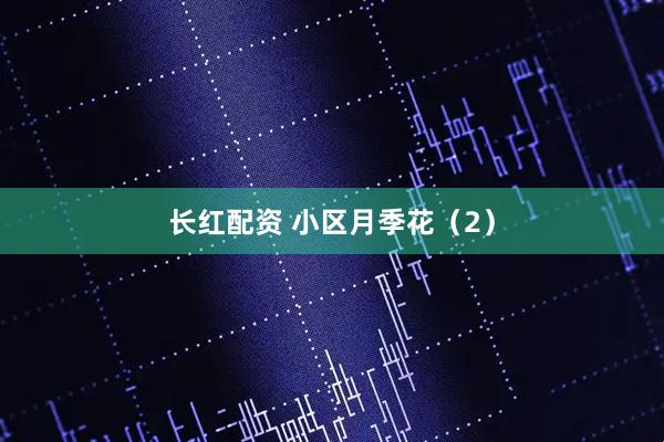 长红配资 小区月季花（2）