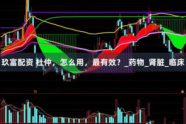 玖富配资 杜仲，怎么用，最有效？_药物_肾脏_临床