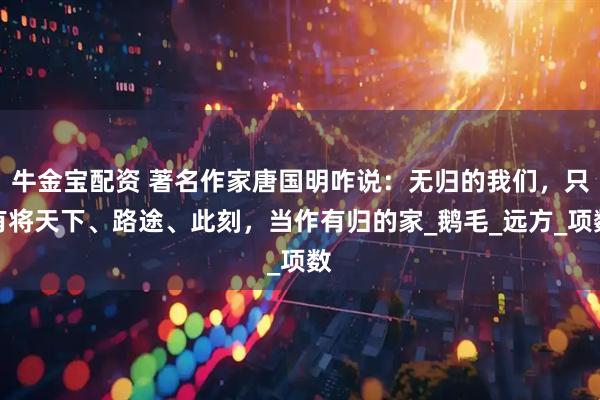 牛金宝配资 著名作家唐国明咋说:无归的我们,只有将天下、路途、此刻,当作有归的家_鹅毛_远方_项数